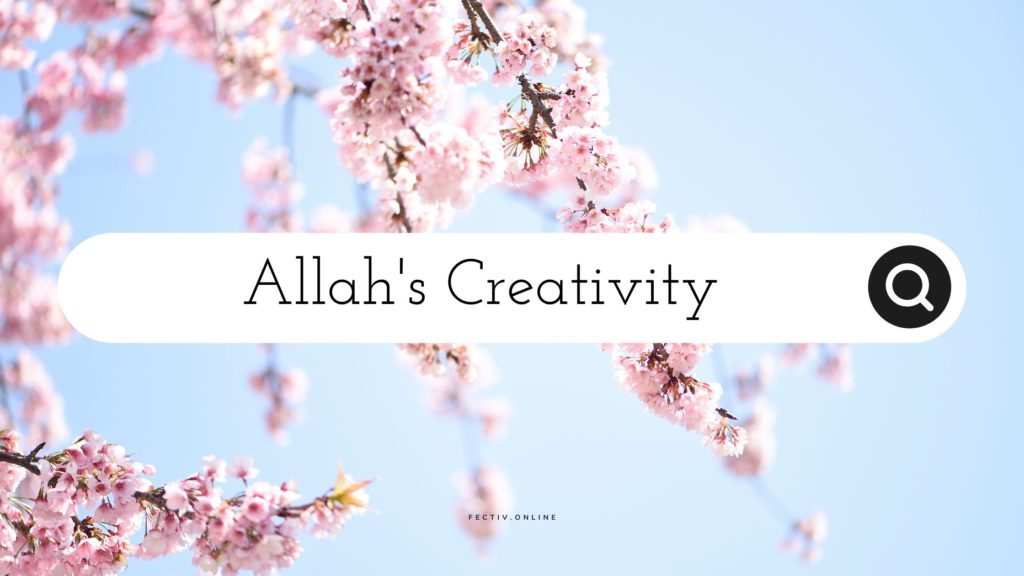Title - Allah's Creativity - in a pink flowers background